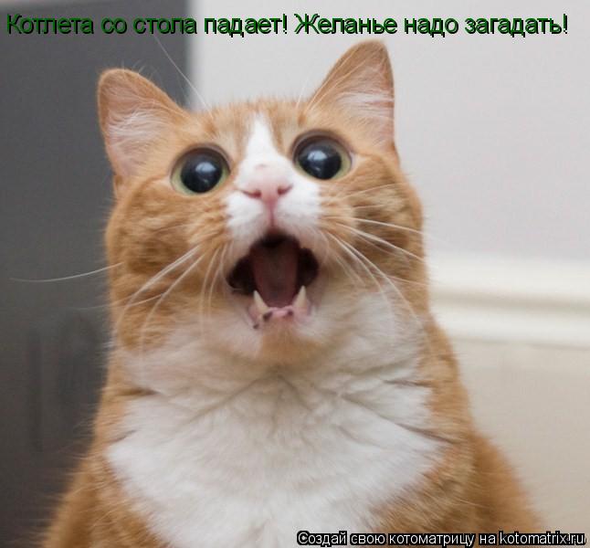 Котлета со стола падает! Желанье надо загадать!... Котоматрица: Котлета со стола падает! Желанье надо загадать!