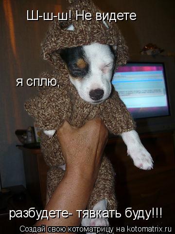 Котоматрица: Ш-ш-ш! Не видете я сплю, разбудете- тявкать буду!!!