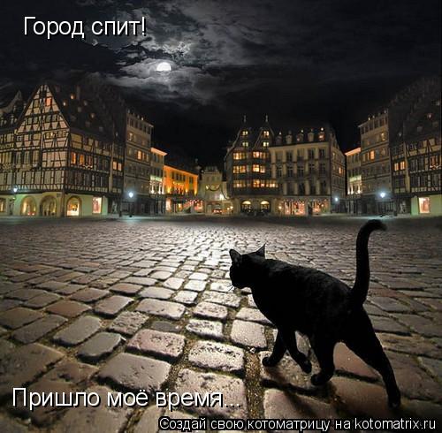 Котоматрица: Город спит! Пришло моё время...