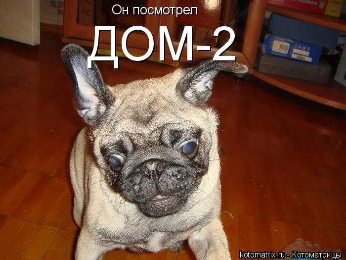 Котоматрица: Он посмотрел ДОМ-2
