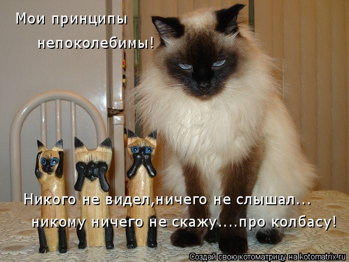 Мои принципы непоколебимы! Никого не видел,ничего не слышал... никому ничего не скажу....про колбасу!... Котоматрица: Мои принципы непоколебимы! Никого не видел,ничего не слышал... никому ничего не скажу....про колбасу!