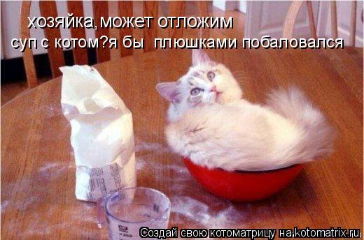 Котоматрица: хозяйка,может отложим суп с котом?я бы  плюшками побаловался