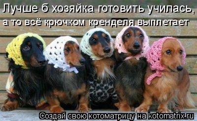 Котоматрица: Лучше б хозяйка готовить училась, а то всё крючком кренделя выплетает
