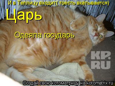 И в Теплицу входит( тоесть вкатывается) Царь Одеяла государь... Котоматрица: И в Теплицу входит( тоесть вкатывается) Царь Одеяла государь