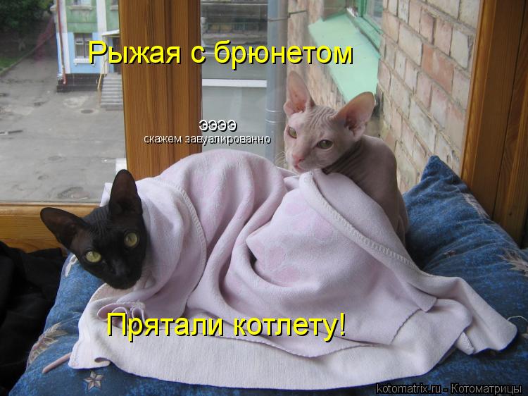 Котоматрица: ээээ Прятали котлету!  скажем завуалированно Рыжая с брюнетом
