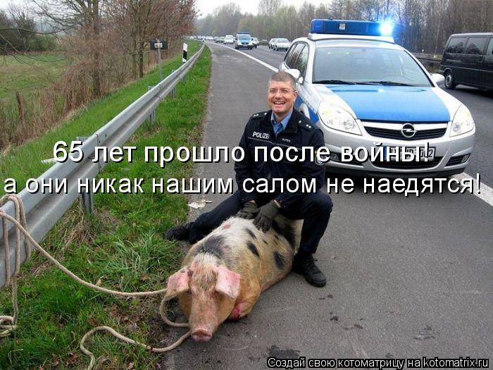 Котоматрица: 65 лет прошло после войны! а они никак нашим салом не наедятся!