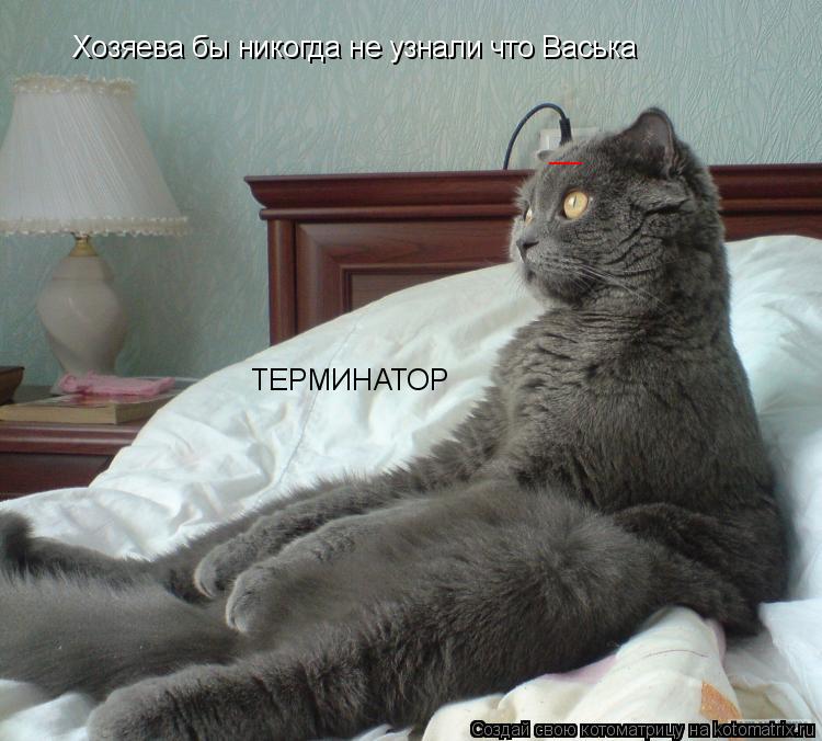 Котоматрица: Хозяева бы никогда не узнали что Васька  ТЕРМИНАТОР __