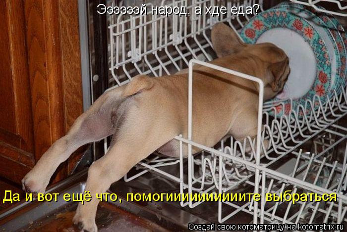 Котоматрица: Ээээээй народ, а хде еда?  Да и вот ещё что, помогиииииииииите выбраться