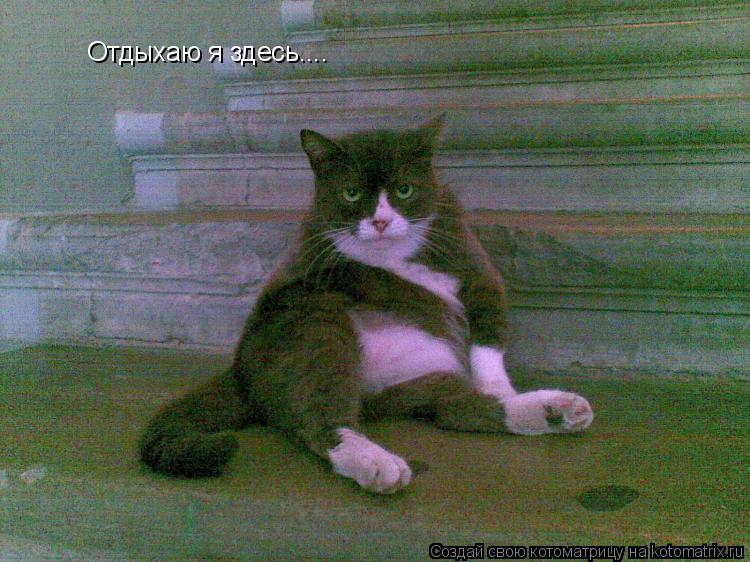 Котоматрица: Отдыхаю я здесь....