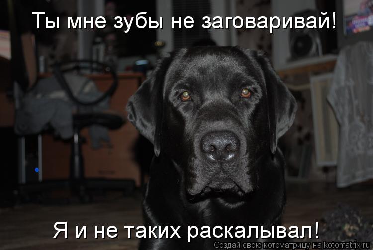 Котоматрица: Ты мне зубы не заговаривай! Я и не таких раскалывал!