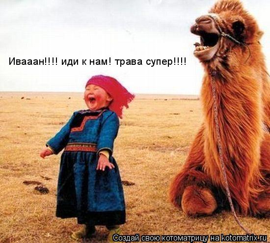 Котоматрица: Ивааан!!!! иди к нам! трава супер!!!!