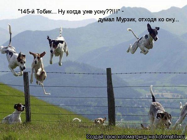 "145-й Тобик... Ну когда уже усну??!!!" думал Мурзик, отходя ко сну... -... Котоматрица: "145-й Тобик... Ну когда уже усну??!!!" думал Мурзик, отходя ко сну... -