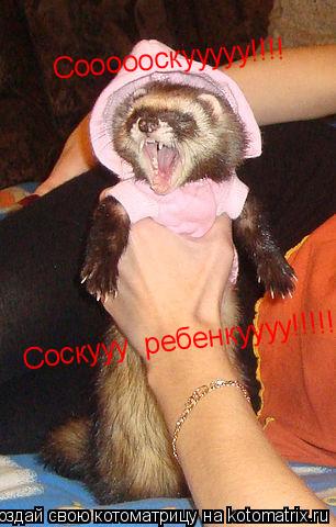 Соооооскууууу!!!! Соскууу ребенкуууу!!!!!... Котоматрица: Соооооскууууу!!!! Соскууу ребенкуууу!!!!!