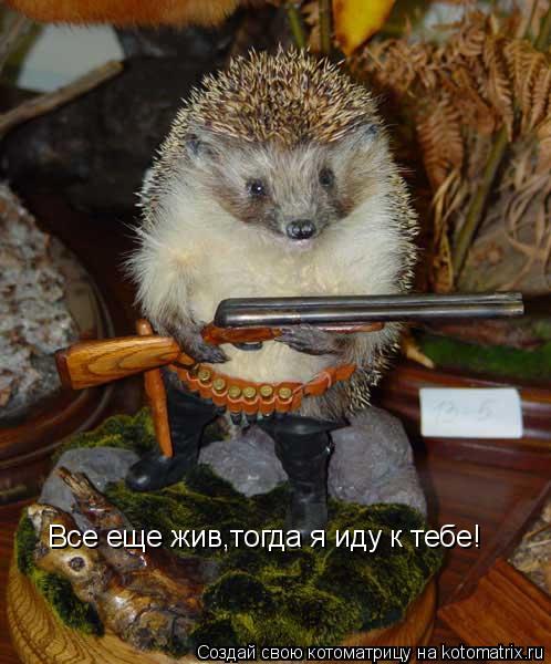 Все еще жив,тогда я иду к тебе!... Котоматрица: Все еще жив,тогда я иду к тебе!