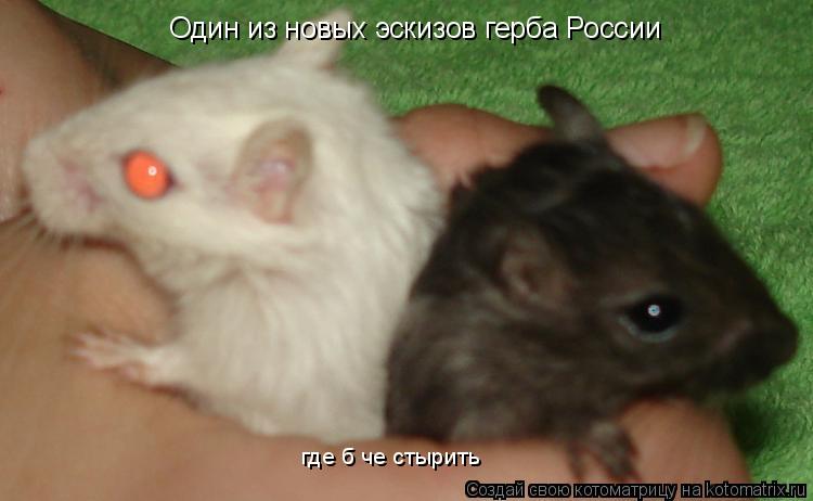 Один из новых эскизов герба России где б че стырить... Котоматрица: Один из новых эскизов герба России где б че стырить