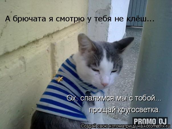 А брючата я смотрю у тебя не клёш... Ох, спалимся мы с тобой... прощай кругосветка.... Котоматрица: А брючата я смотрю у тебя не клёш... Ох, спалимся мы с тобой... прощай кругосветка.