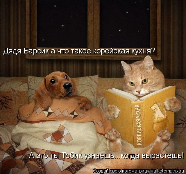 Дядя Барсик а что такое корейская кухня? А это ты Тобик узнаешь...когда вырастешь!... Котоматрица: Дядя Барсик а что такое корейская кухня? А это ты Тобик узнаешь...когда вырастешь!