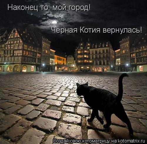 Наконец то, мой город! Черная Котия вернулась!... Котоматрица: Наконец то, мой город! Черная Котия вернулась!