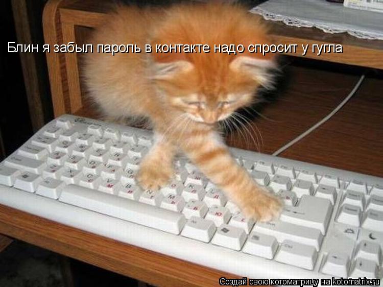 Блин я забыл пароль в контакте надо спросит у гугла... Котоматрица: Блин я забыл пароль в контакте надо спросит у гугла