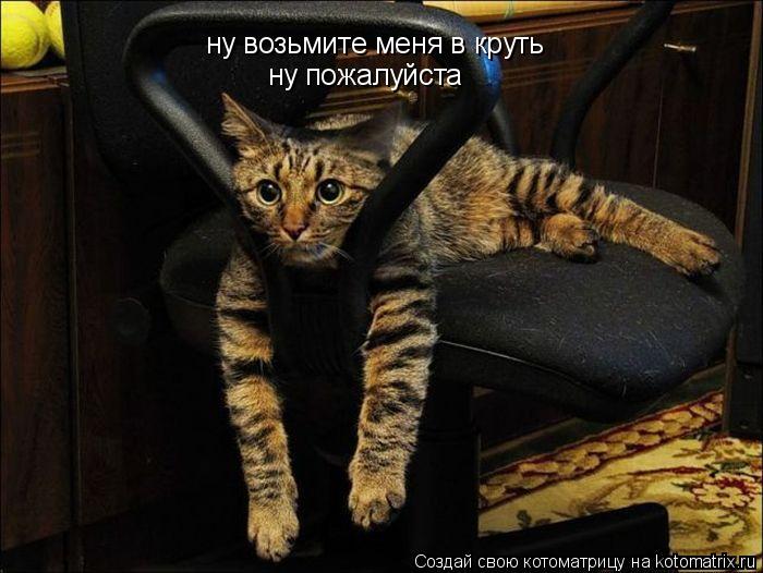 ну возьмите меня в круть ну пожалуйста... Котоматрица: ну возьмите меня в круть ну пожалуйста