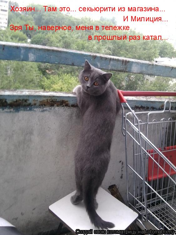 Котоматрица: Хозяин... Там это... секьюрити из магазина... И Милиция...  Зря Ты, наверное, меня в тележке  в прошлый раз катал...