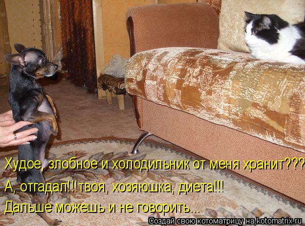 Котоматрица: Худое, злобное и холодильник от меня хранит??? А, отгадал!!!твоя, хозяюшка, диета!!! Дальше можешь и не говорить...