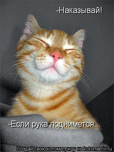 Котоматрица: -Наказывай! -Если рука поднимется...