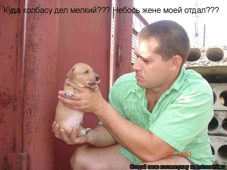 Котоматрица: Куда колбасу дел мелкий??? Небось жене моей отдал???