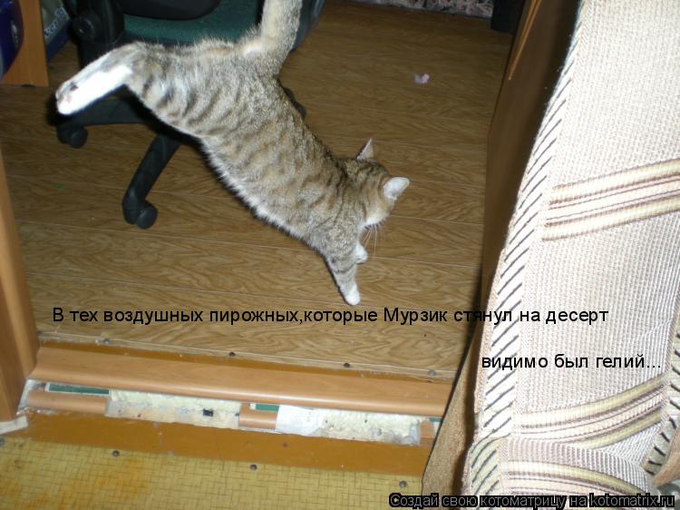 Котоматрица: В тех воздушных пирожных,которые Мурзик стянул на десерт видимо был гелий...