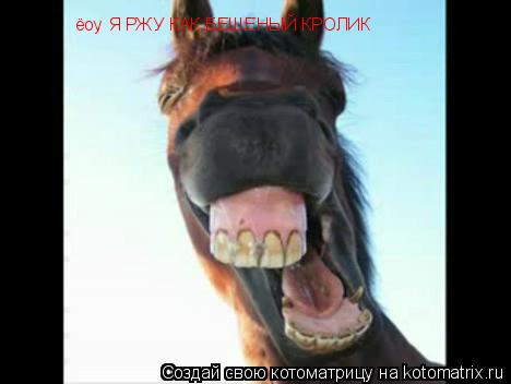 Котоматрица: ёоу Я РЖУ КАК БЕШЕНЫЙ КРОЛИК