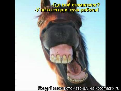 Котоматрица: -Где мой стоматолог? -У него сегодня куча работы!