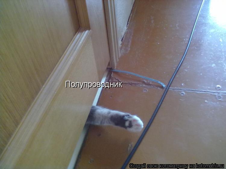Полупроводник... Котоматрица: Полупроводник