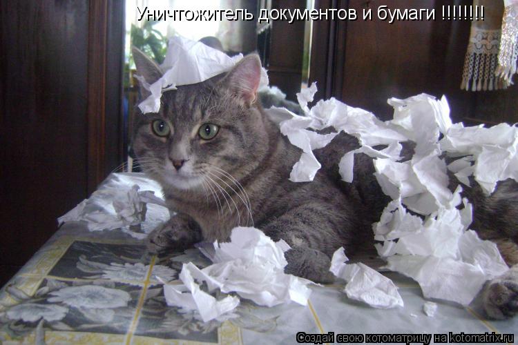 Уничтожитель документов и бумаги !!!!!!!!... Котоматрица: Уничтожитель документов и бумаги !!!!!!!!