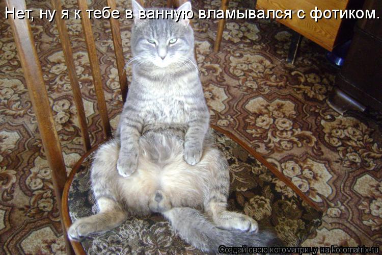 Нет, ну я к тебе в ванную вламывался с фотиком...... Котоматрица: Нет, ну я к тебе в ванную вламывался с фотиком...