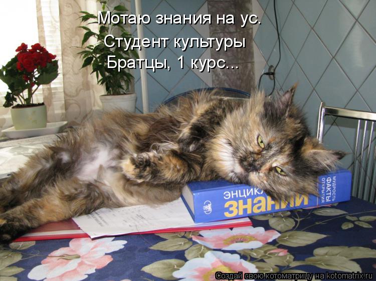 Мотаю знания на ус. Студент культуры Братцы, 1 курс...... Котоматрица: Мотаю знания на ус. Студент культуры Братцы, 1 курс...