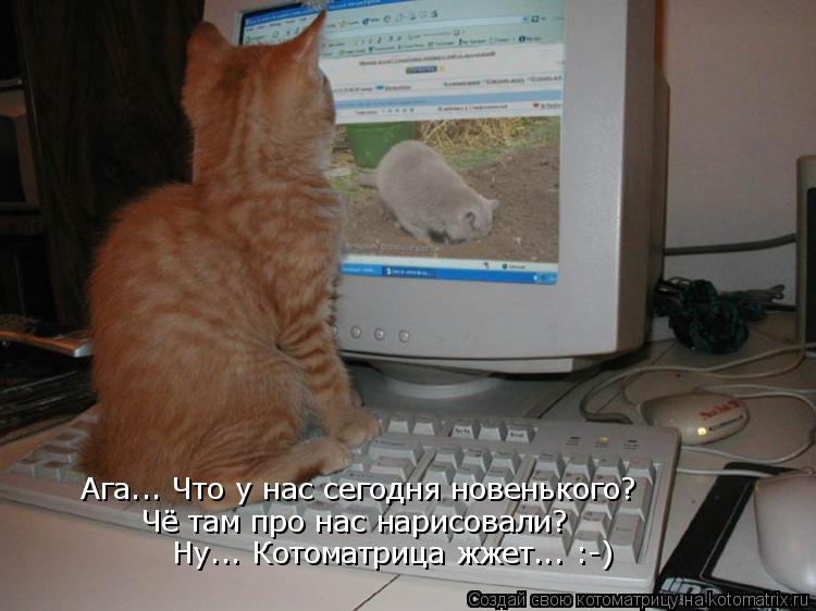 Котоматрица: Ага... Что у нас сегодня новенького? Чё там про нас нарисовали? Ну... Котоматрица жжет... :-)