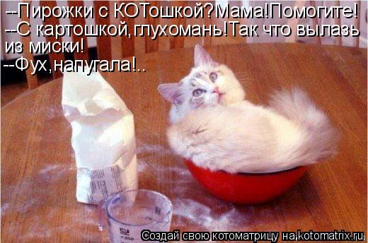 Котоматрица: --Пирожки с КОТошкой?Мама!Помогите! --С картошкой,глухомань!Так что вылазь из миски! --Фух,напугала!..