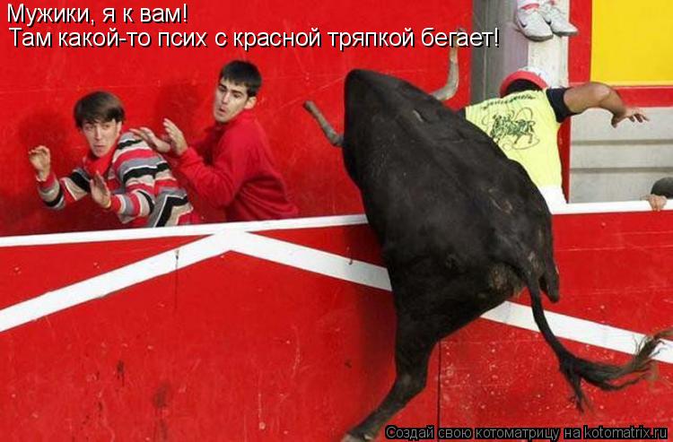 Котоматрица: Мужики, я к вам!  Там какой-то псих с красной тряпкой бегает!