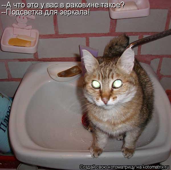 Котоматрица: --А что это у вас в раковине такое? --Подсветка для зеркала!