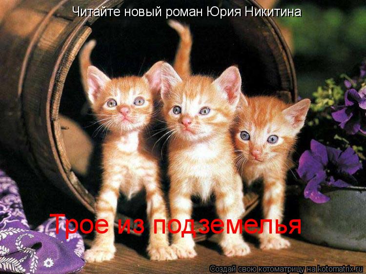 Котоматрица: Трое из подземелья Читайте новый роман Юрия Никитина