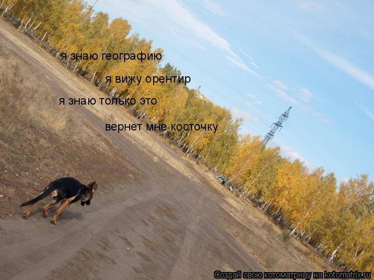 Котоматрица: я знаю географию я вижу орентир я знаю только это вернет мне косточку