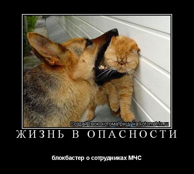 Котоматрица: Жизнь в опасности  блокбастер о сотрудниках МЧС