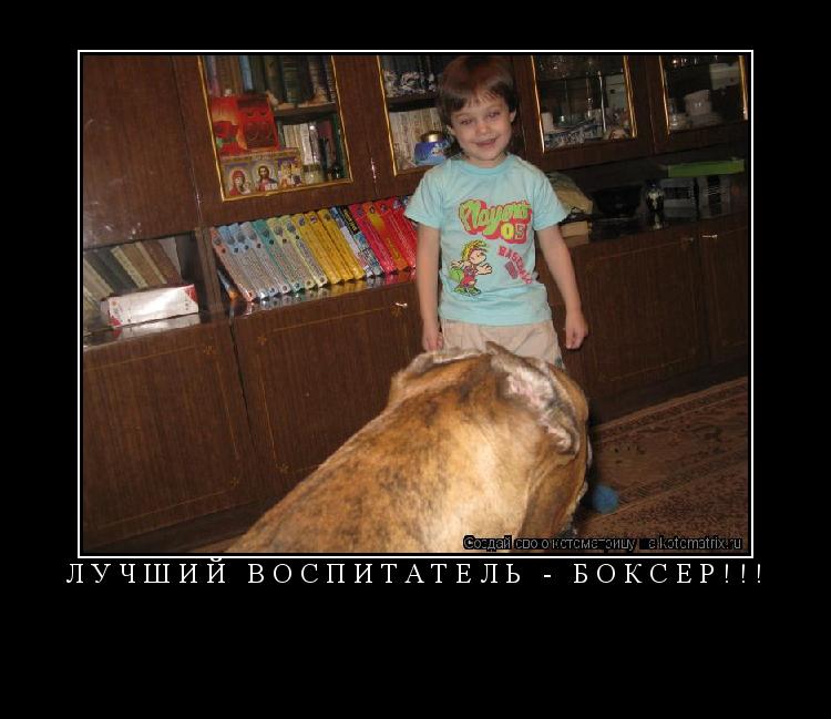 Котоматрица: Лучший воспитатель - боксер!!! 