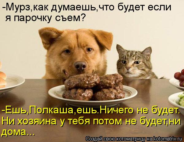 -Мурз,как думаешь,что будет если я парочку съем? -Ешь,Полкаша,ешь.Ничего не будет. Ни хозяина у тебя ... Котоматрица: -Мурз,как думаешь,что будет если я парочку съем? -Ешь,Полкаша,ешь.Ничего не будет. Ни хозяина у тебя потом не будет,ни дома...