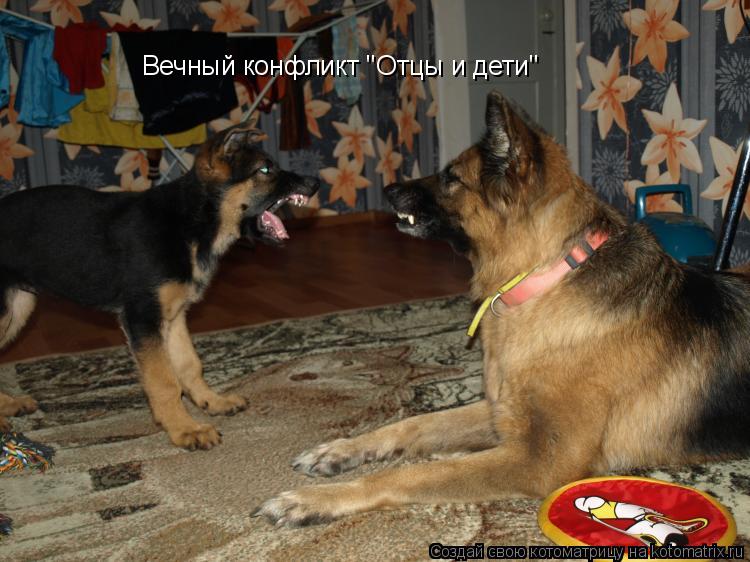 Вечный конфликт "Отцы и дети"... Котоматрица: Вечный конфликт "Отцы и дети"