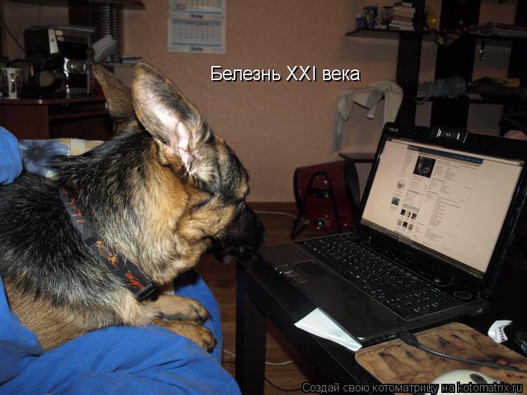 Белезнь XXI века... Котоматрица: Белезнь XXI века