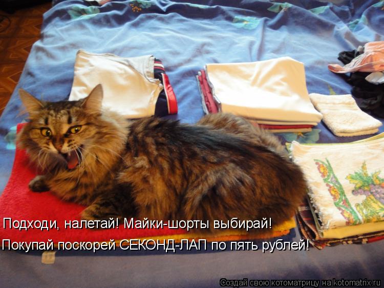 Покупай поскорей СЕКОНД-ЛАП по пять рублей! Подходи, налетай! Майки-шорты выбирай!... Котоматрица: Покупай поскорей СЕКОНД-ЛАП по пять рублей! Подходи, налетай! Майки-шорты выбирай!
