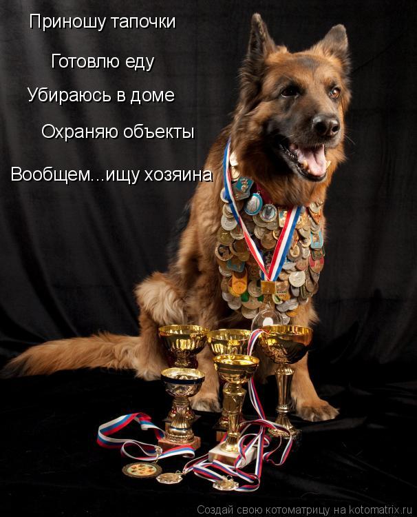 Приношу тапочки Готовлю еду Убираюсь в доме Охраняю объекты Вообщем...ищу хозяина... Котоматрица: Приношу тапочки Готовлю еду Убираюсь в доме Охраняю объекты Вообщем...ищу хозяина