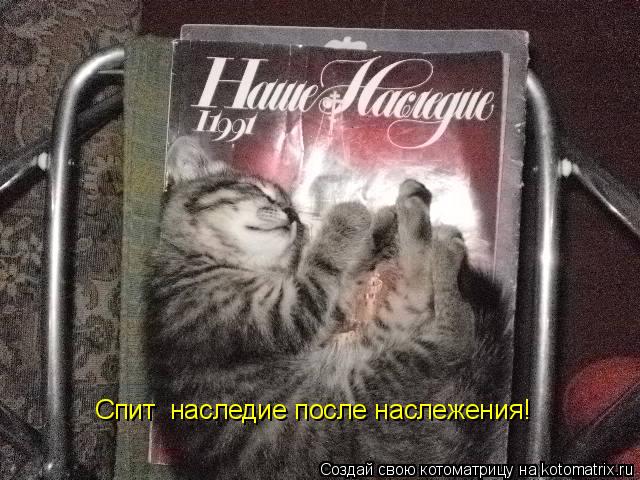 Спит наследие после наслежения!... Котоматрица: Спит наследие после наслежения!