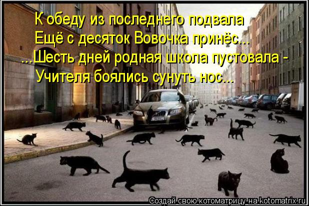К обеду из последнего подвала Ещё с десяток Вовочка принёс... ...Шесть дней родная школа пустовала - ... Котоматрица: К обеду из последнего подвала Ещё с десяток Вовочка принёс... ...Шесть дней родная школа пустовала - Учителя боялись сунуть нос...